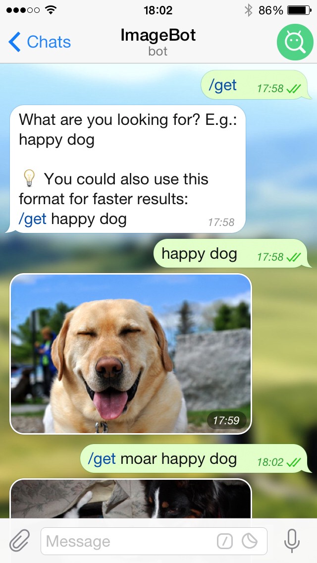 Example of a Telegram Messenger bot in action